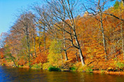 fall colors by a lake