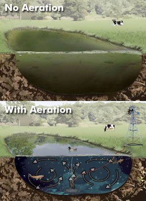 with and without aeration comparison image